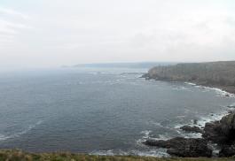 DSCF0466