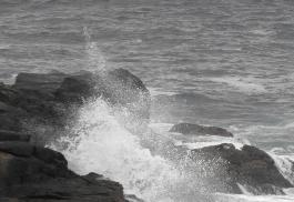 DSCF0477