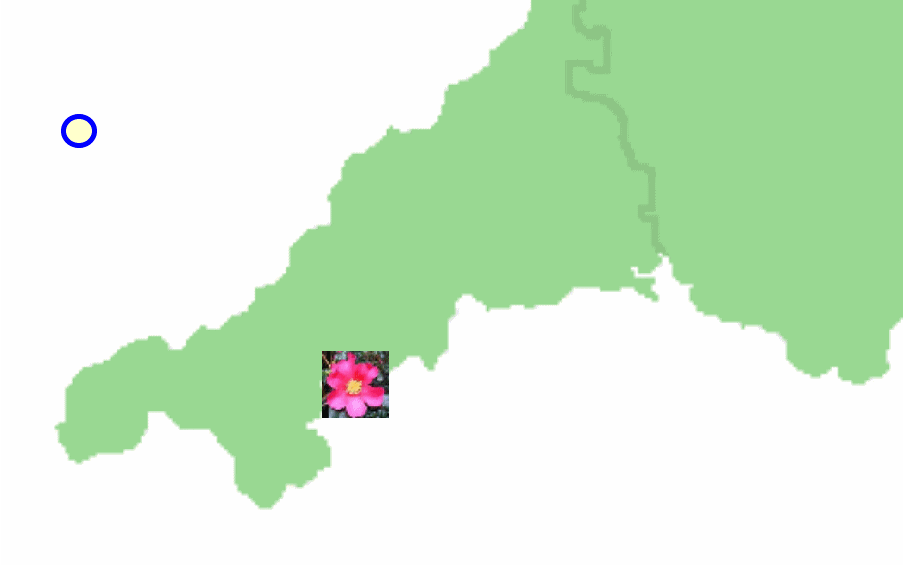 map4